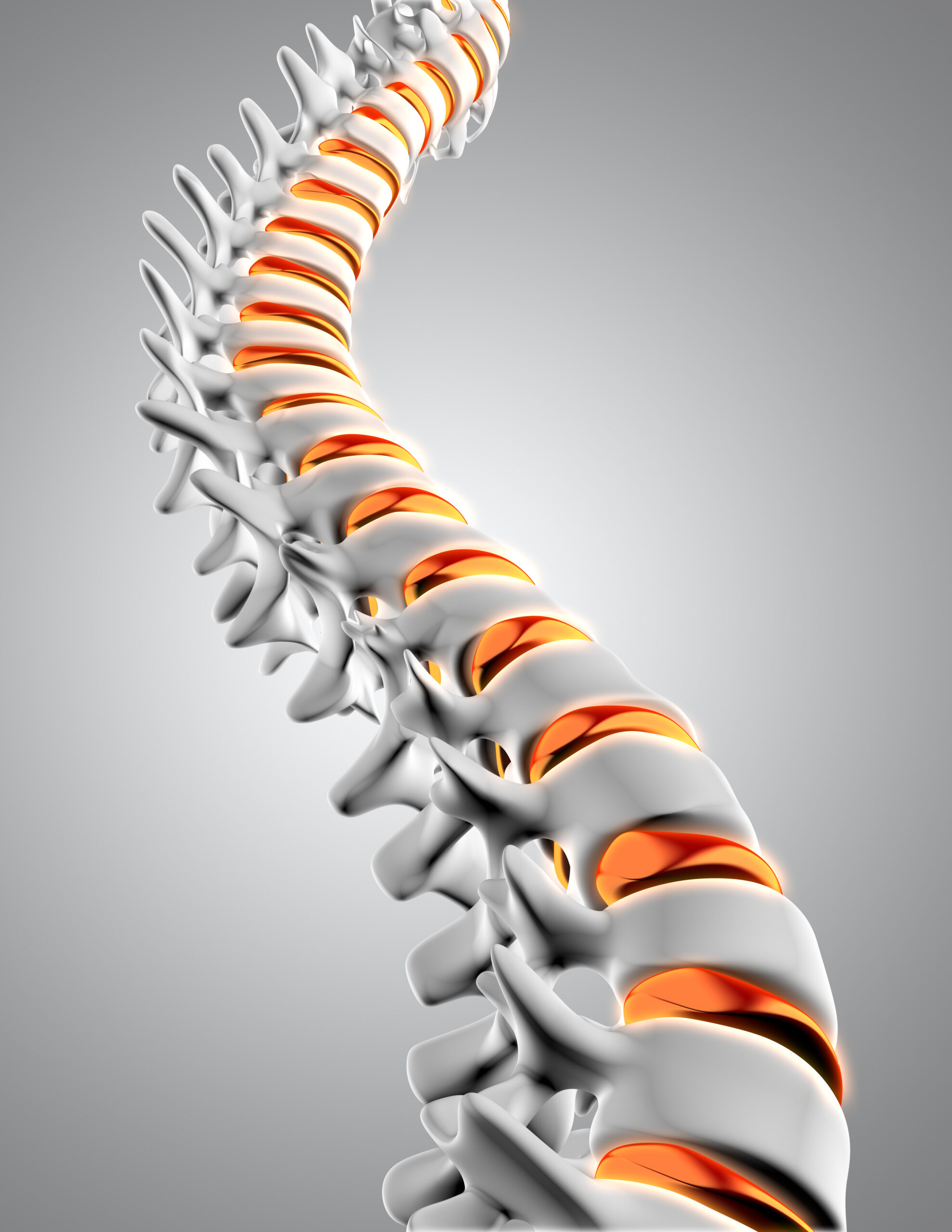 Ilustración 3D de una columna vertebral para artículo sobre cirugía endoscópica de columna y opciones de tratamiento.